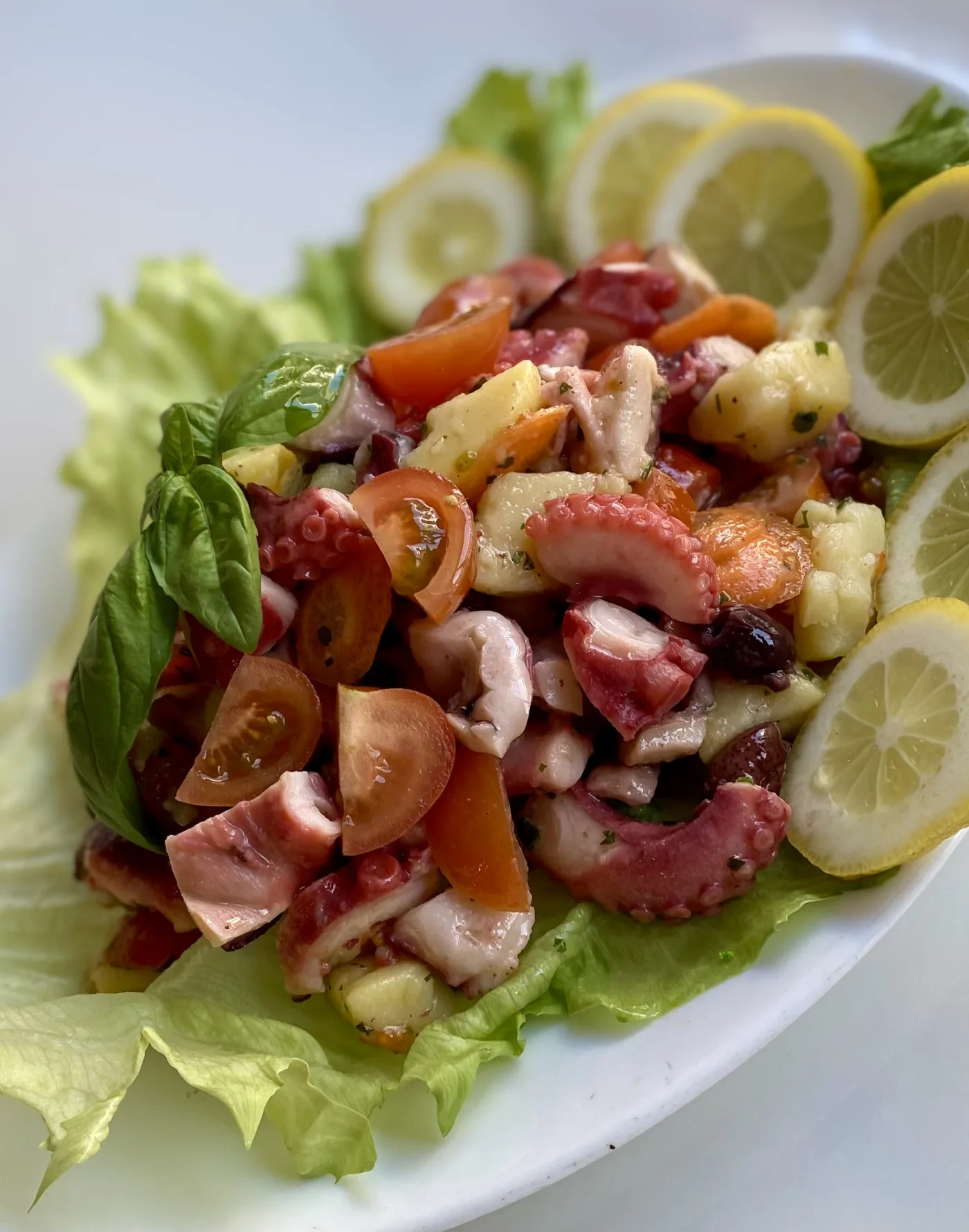 Insalata di polpo